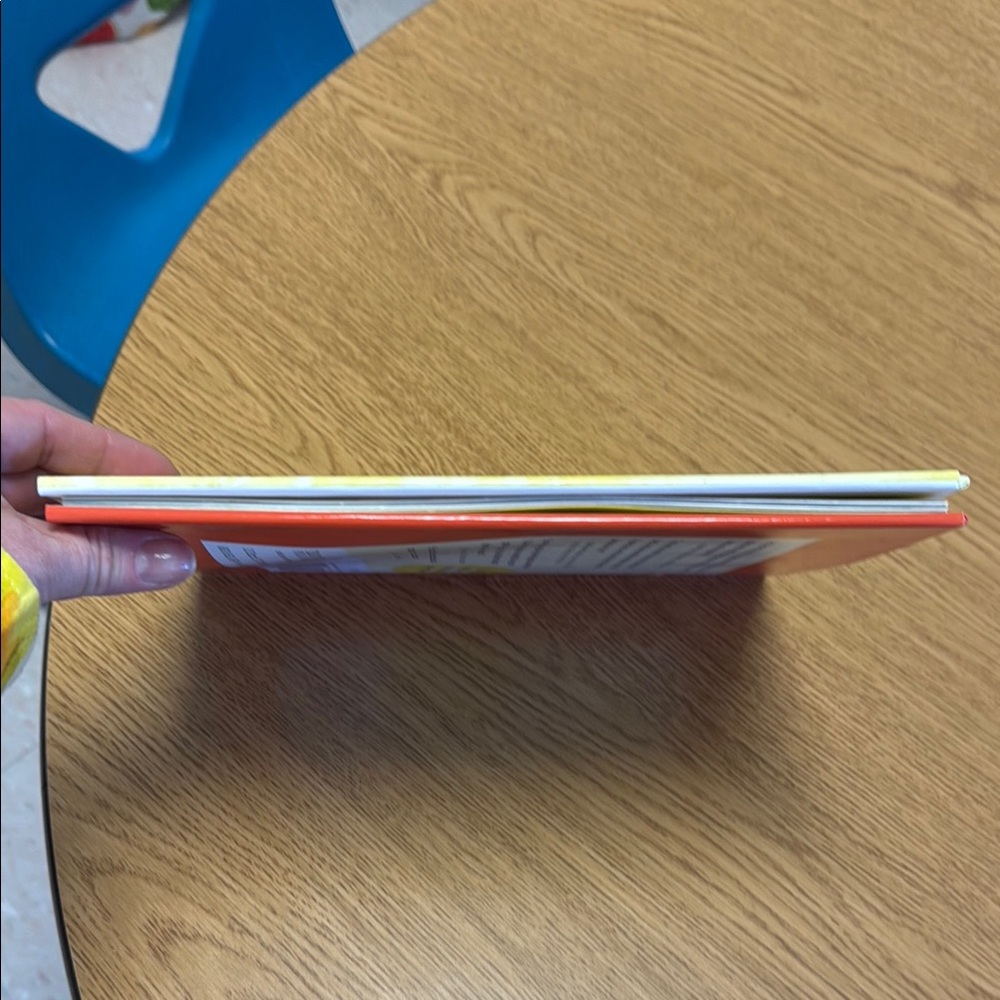 The Lemonade Hurricane Children's Book - Picture 6 of 6